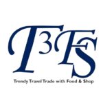 T3FS